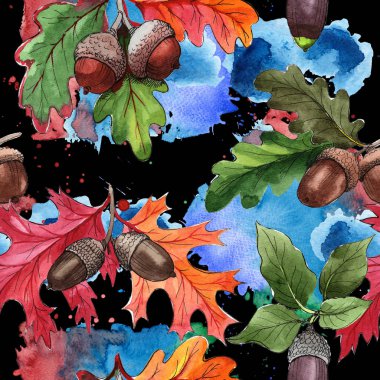 Orman meşe palamudu izole bir elle çizilmiş suluboya tarzında.