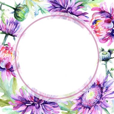 Kır çiçeği Kasımpatı çiçeği çerçeve suluboya tarzında.