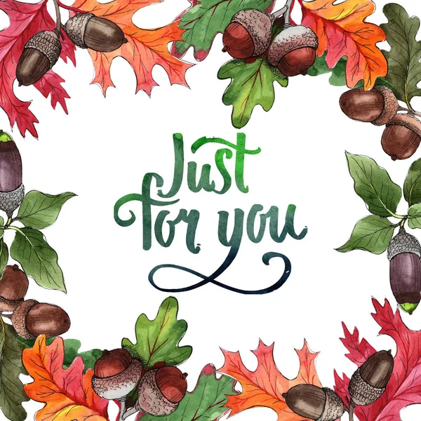 Orman meşe palamudu izole bir elle çizilmiş suluboya tarzında.