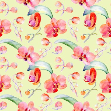 Kır çiçeği orkide çiçek deseni suluboya tarzında.