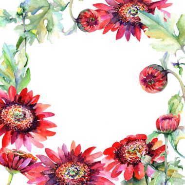 Kır çiçeği aster çiçek çerçeve suluboya tarzında.