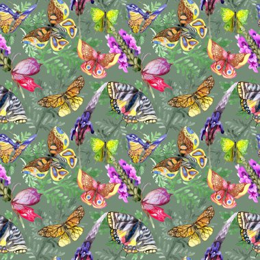 Egzotik kelebek vahşi böcek desen suluboya tarzında.