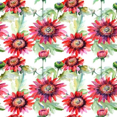 Kır çiçeği aster çiçek deseni suluboya tarzında.