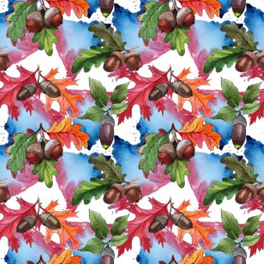 Orman meşe palamudu izole bir elle çizilmiş suluboya tarzında.