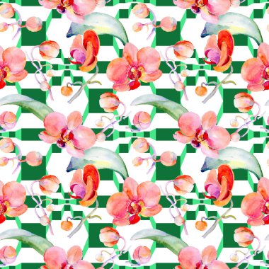 Kır çiçeği orkide çiçek deseni suluboya tarzında.