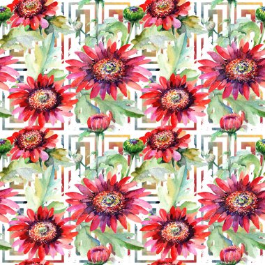 Kır çiçeği aster çiçek deseni suluboya tarzında.