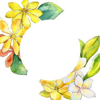 Kır çiçeği gardenya çiçek çerçeve suluboya tarzında.