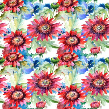 Kır çiçeği aster çiçek deseni suluboya tarzında.