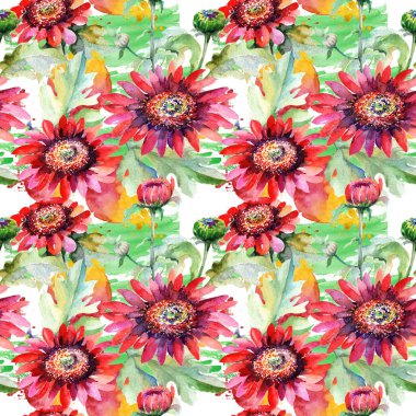 Kır çiçeği aster çiçek deseni suluboya tarzında.