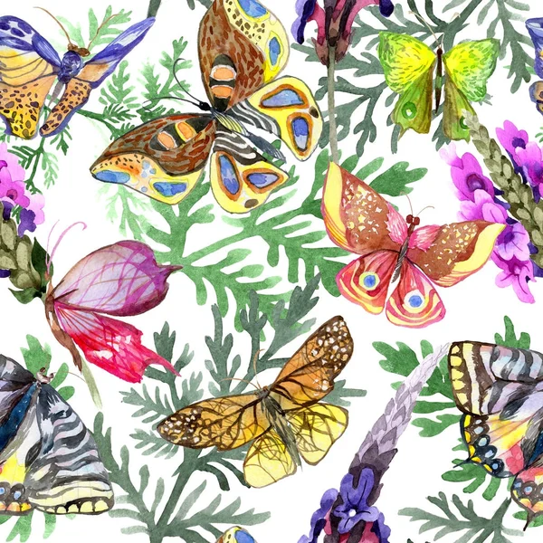 Egzotik kelebek vahşi böcek desen suluboya tarzında.