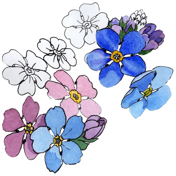 Wildflower Forget Me Not Flower In A Watercolor Style Isolated Full Name Of The Plant Forget Me Not Aquarelle Wild Flower For Background Texture Wrapper Pattern Frame Or Border Larastock