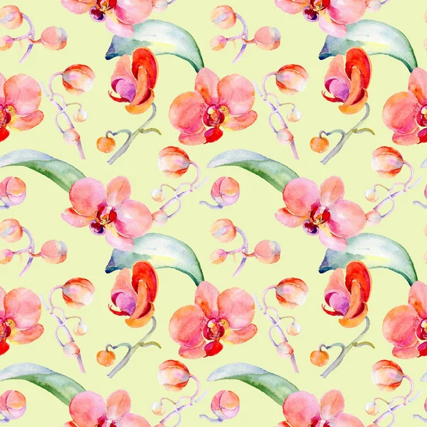 Kır çiçeği orkide çiçek deseni suluboya tarzında.