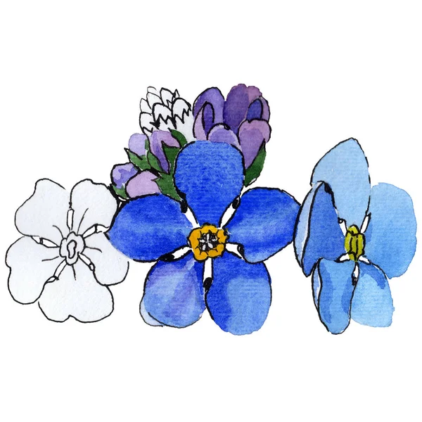 Fleur sauvage forget-me-not fleur dans un style aquarelle isolé . — Photo