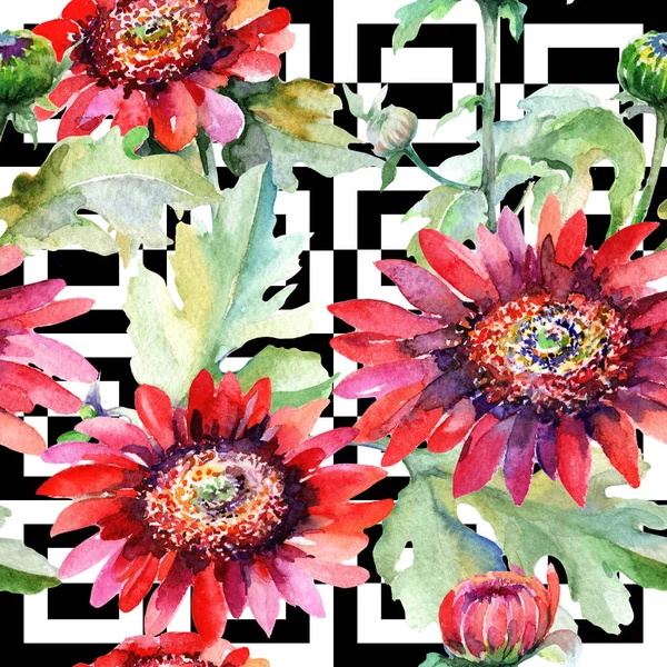 水彩画のワイルドフラワー アスターの花のパターン. — ストック写真