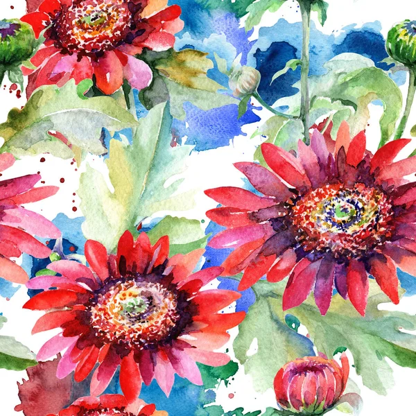 Wildflower aster blommönster i akvarell stil. — Stockfoto