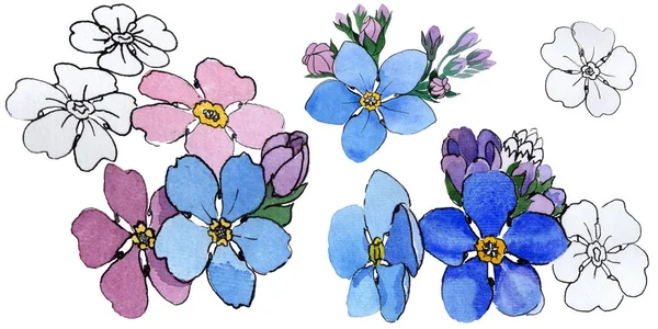 Kır çiçeği unutma çiçek izole bir suluboya tarzında.