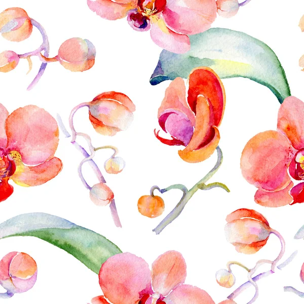 Kır çiçeği orkide çiçek deseni suluboya tarzında.