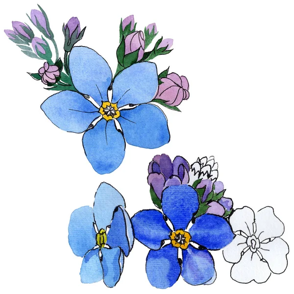 Fleur sauvage forget-me-not fleur dans un style aquarelle isolé . — Photo