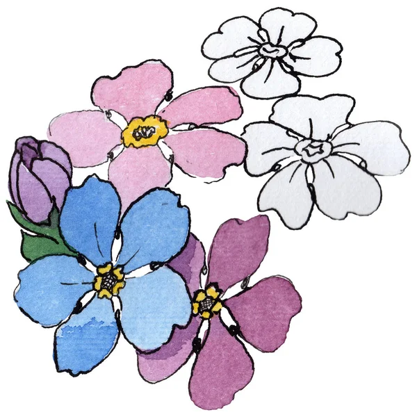 Wildflower forget-me-not flower in a watercolor style isolated. — Stock Photo, Image