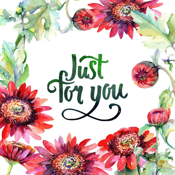 Kır çiçeği aster çiçek çerçeve suluboya tarzında.