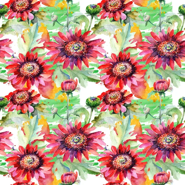 Kır çiçeği aster çiçek deseni suluboya tarzında.