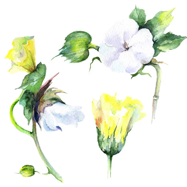 Kır çiçeği eustama çiçek izole bir suluboya tarzında.