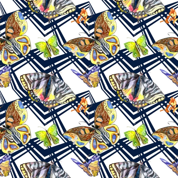 Egzotik kelebek vahşi böcek desen suluboya tarzında.