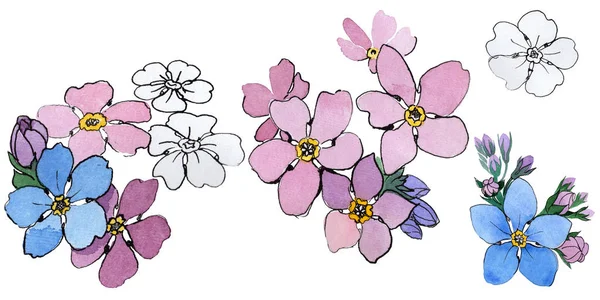 Kır çiçeği unutma çiçek izole bir suluboya tarzında.