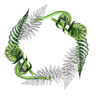 Tropikal eğreltiotu yaprakları çelenk suluboya tarzında.