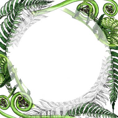 Tropikal eğreltiotu yaprakları çerçeve suluboya tarzında.