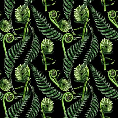 Tropikal eğreltiotu yaprakları desen suluboya tarzında.