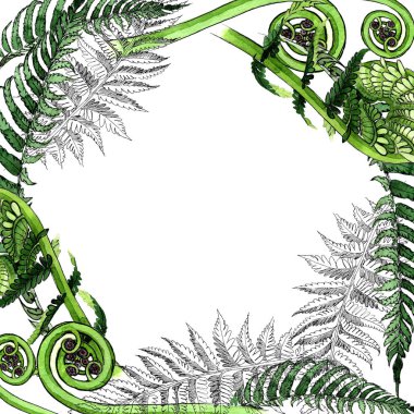 Tropikal eğreltiotu yaprakları çerçeve suluboya tarzında.