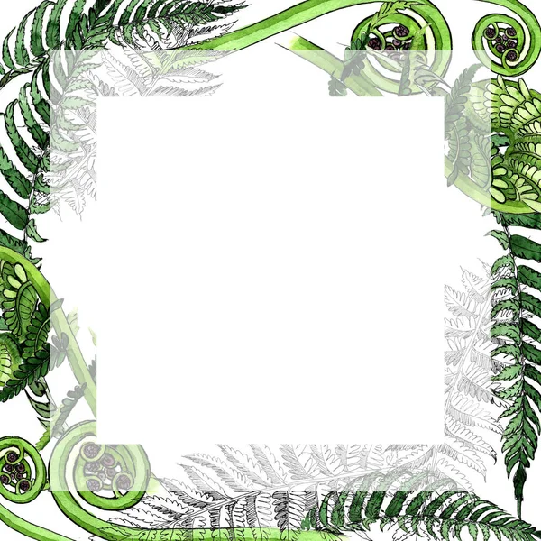 Tropical fern leaves frame in a watercolor style.