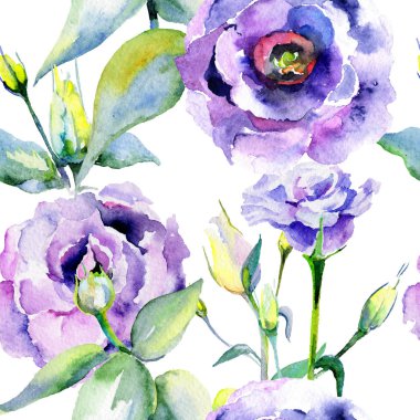 Kır çiçeği eustoma çiçek deseni suluboya tarzında.