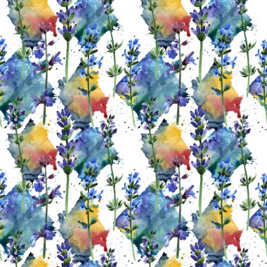 Kır çiçeği lavanta çiçek deseni suluboya tarzında.