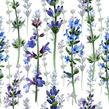 Kır çiçeği lavanta çiçek deseni suluboya tarzında.
