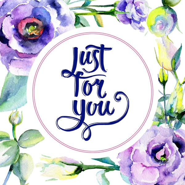 Kır çiçeği eustoma çiçek çerçeve suluboya tarzında.