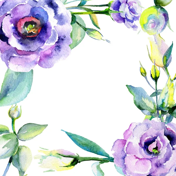 Рамка з квітів дикої квітки еустоми в акварельному стилі . — стокове фото