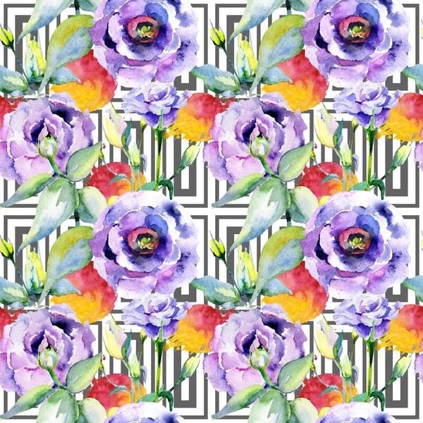 Wildflower eustoma flower pattern in a watercolor style. — Stock Photo, Image