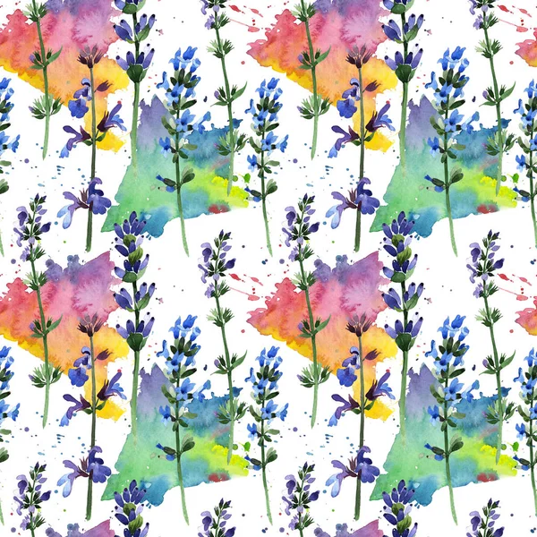 Kır çiçeği lavanta çiçek deseni suluboya tarzında.