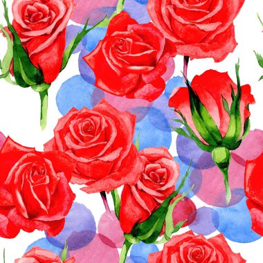 Kır çiçeği gül çiçek deseni suluboya tarzında.