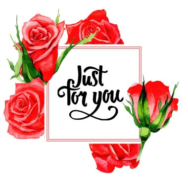 Kır çiçeği gül çiçek çerçeve suluboya tarzında.