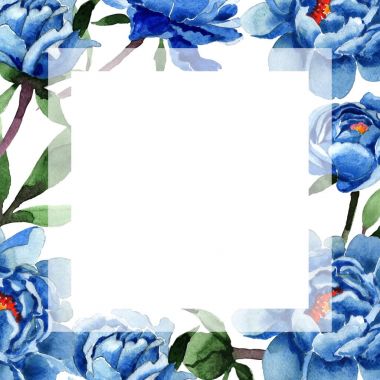 Kır çiçeği Şakayık çiçeği çerçeve suluboya tarzında.