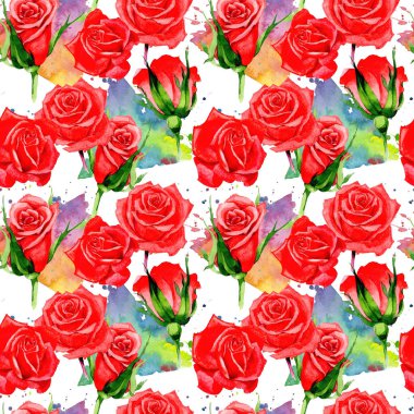 Kır çiçeği gül çiçek deseni suluboya tarzında.