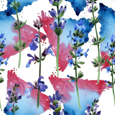 Kır çiçeği lavanta çiçek deseni suluboya tarzında.