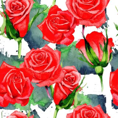 Kır çiçeği gül çiçek deseni suluboya tarzında.