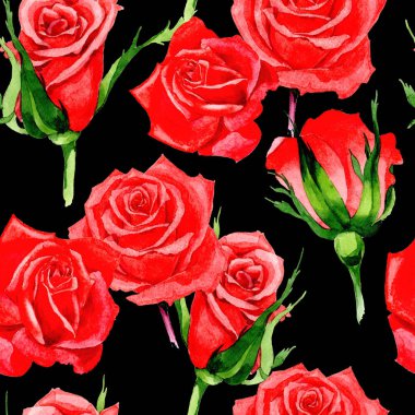 Kır çiçeği gül çiçek deseni suluboya tarzında.