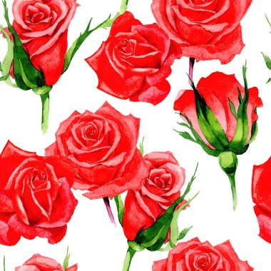 Kır çiçeği gül çiçek deseni suluboya tarzında.