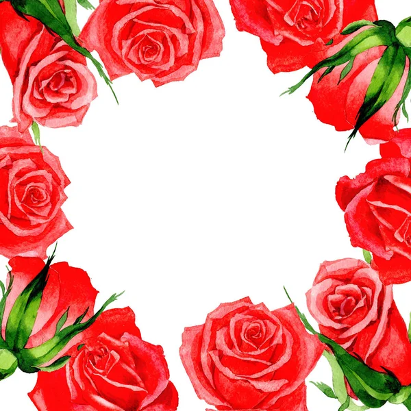 Kır çiçeği gül çiçek çerçeve suluboya tarzında.