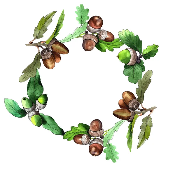 Wieniec acorn lasu w rękę wyciągnąć stylu przypominającym akwarele. — Zdjęcie stockowe